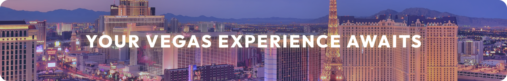 Vegas Experience